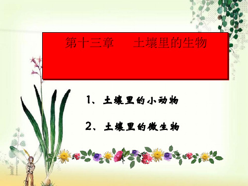 【一线精品】  土壤里的小动物1   最新优秀公开PPT课件