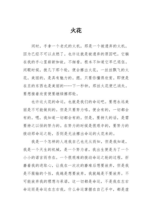 初中议论文作文：火花