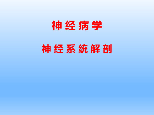 神经病学——十二对颅神经检查