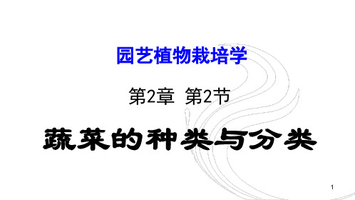 蔬菜主要种类及其分类