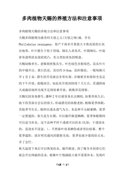 多肉植物天赐的养殖方法和注意事项