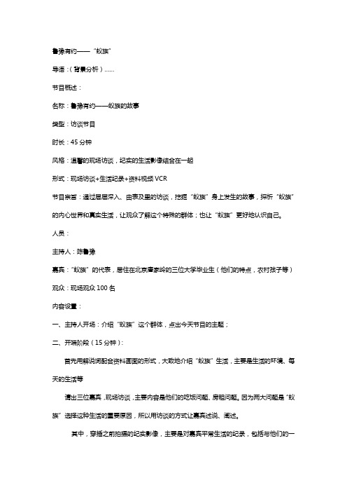 电视片分析案例