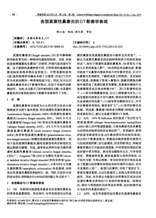 各型真菌性鼻窦炎的CT影像学表现