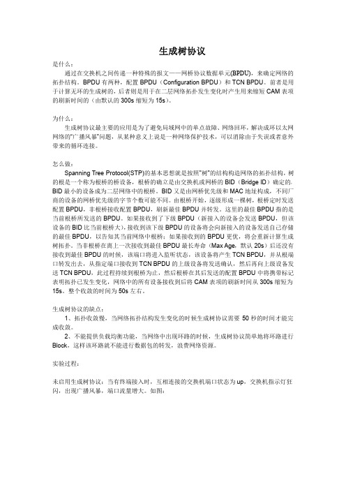 生成树协议实验