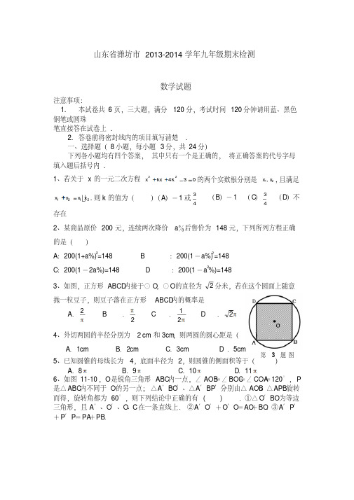 山东省潍坊市2013-2014学年九年级期末检测数学试题