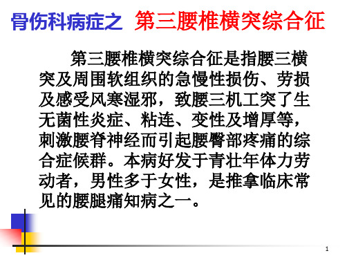 腰椎横突综合征精品PPT课件
