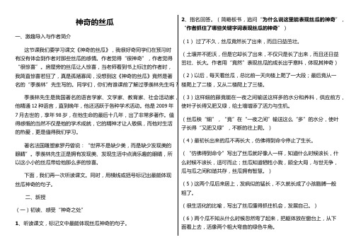 神奇的丝瓜 教案