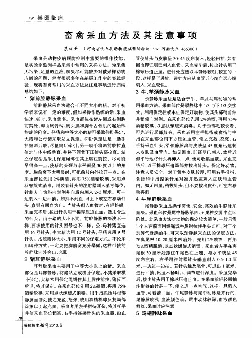 畜禽采血方法及其注意事项
