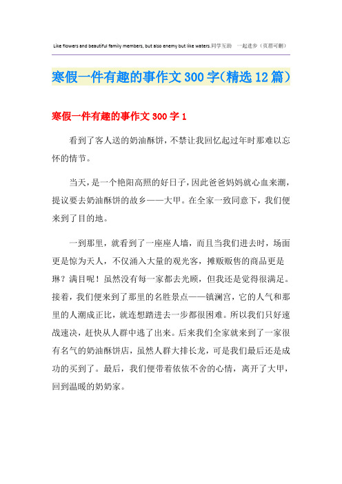 寒假一件有趣的事作文300字(精选12篇)