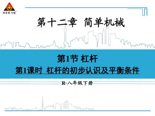 第1课时 杠杆的初步认识及平衡条件