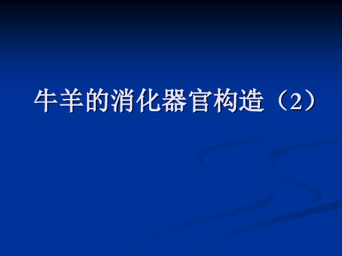 第四章 (牛羊的消化器官构造2)