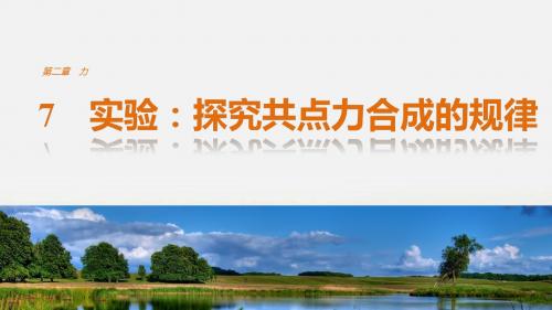 【创新设计-课堂讲义】2019学年高中物理(教科版必修一)配套课件：第二章 力 7