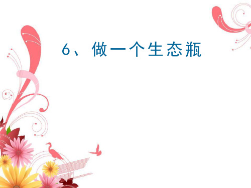 6.《做一个生态瓶》教学课件