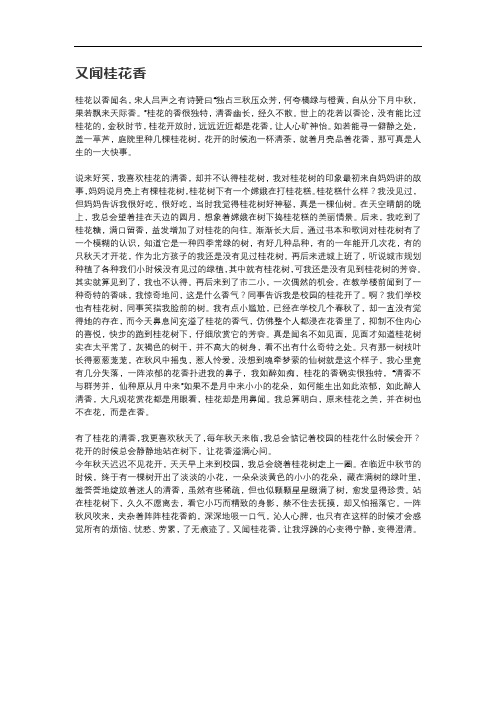 又闻桂花香