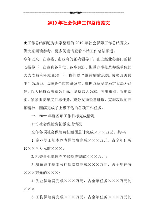 2019年社会保障工作总结范文