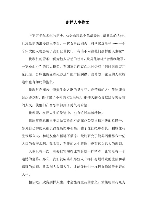 中小学别样人生作文