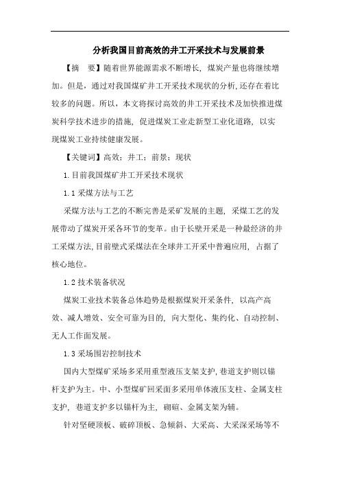 我国目前高效井工开采技术发展前景论文