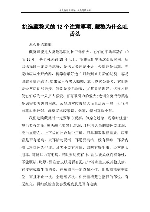 挑选藏獒犬的12个注意事项,藏獒为什么吐舌头