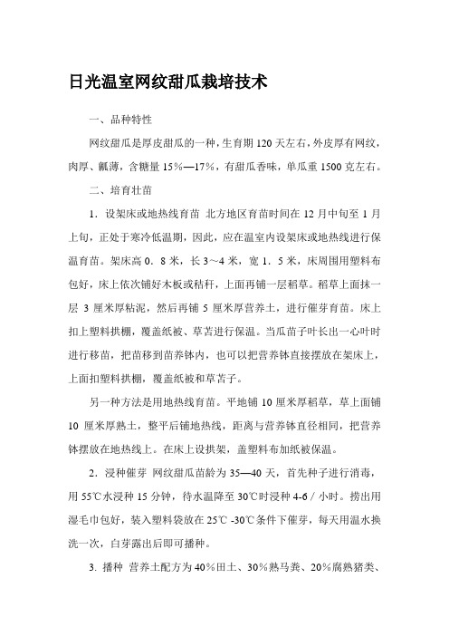 日光温室网纹甜瓜栽培技术