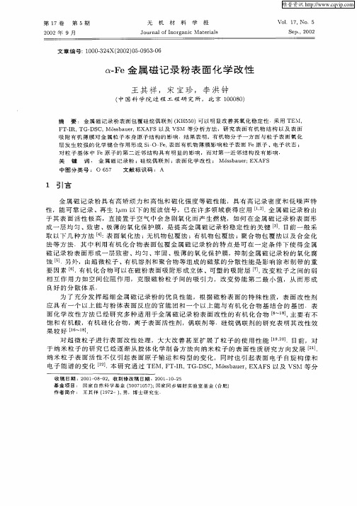 α—Fe金属磁记录粉表面化学改性