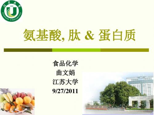 9-食品化学_氨基酸、肽和蛋白质-1部分