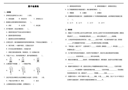 六年级上册科学试题--期中综合检测卷   教科版   附答案