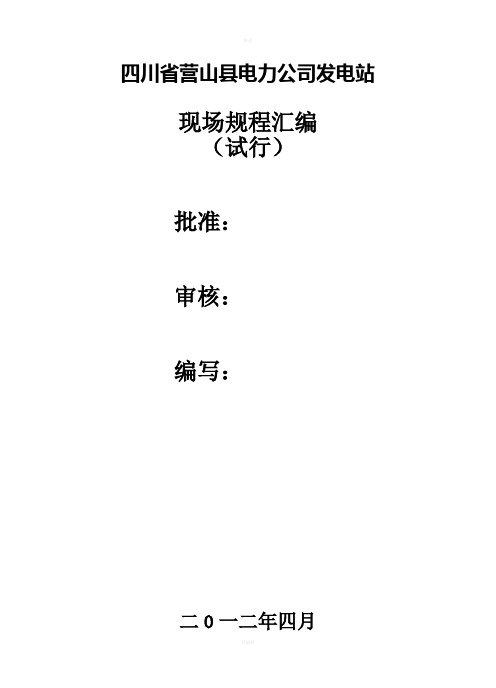 《电站操作规程》word版