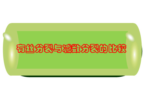 减数分裂与有丝分裂专题复习资料