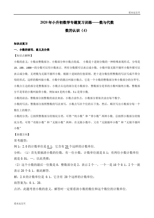 2020年小升初数学专题复习训练—数与代数：数的认识(4)(知识点总结)