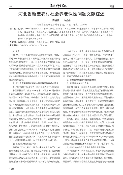 河北省新型农村社会养老保险问题文献综述