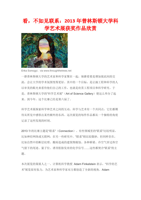 看,不如见联系：2013年普林斯顿大学科学艺术展获奖作品欣赏