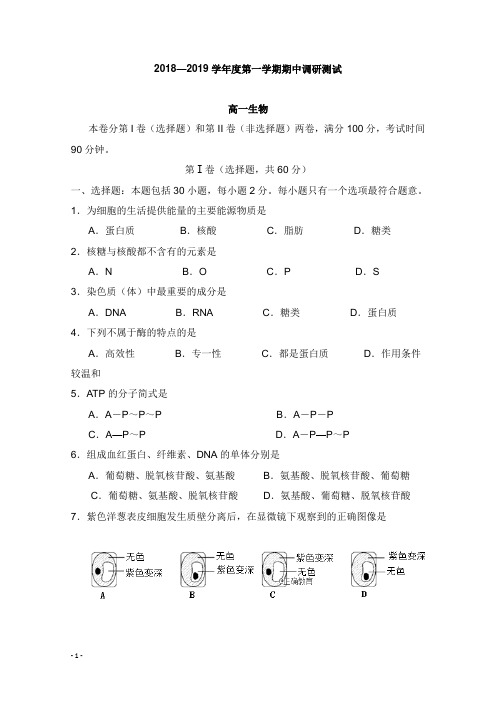 江苏省高邮中学2018-2019学年高一生物上学期期中试卷【word版】.doc