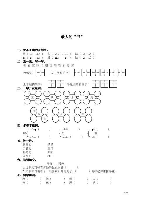 《人教新课标)二年级语文下册 最大的“书” 2(课课过关)(同步练习)(习题精选)课后练习(课后习题)
