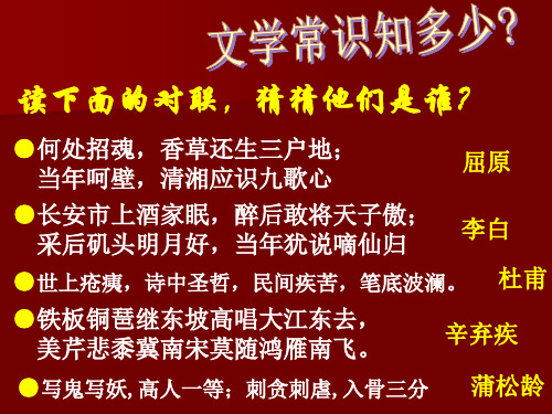 人民版高中历史必修3 专题二第3课 中国古典文学的时代特色  课件(共28张PPT)