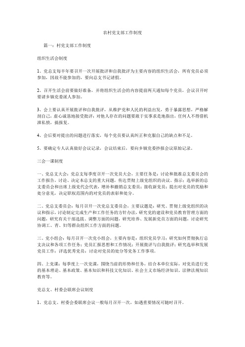 农村党支部工作制度.doc