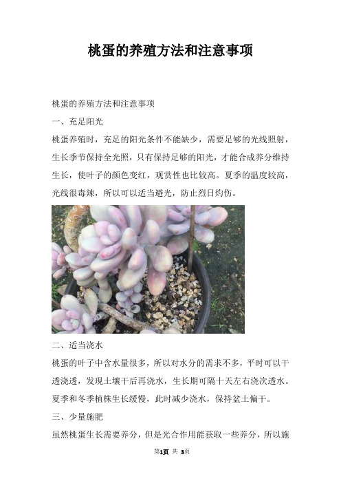 桃蛋的养殖方法和注意事项