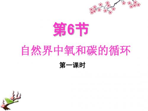 第6节  自然界中碳和氧的循环1课时