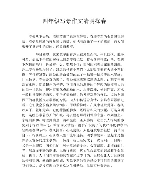 四年级写景作文清明探春