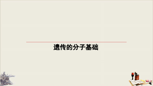 高考生物一轮复习PPT公开课课件： 第1讲 DNA是主要的遗传物质PPT