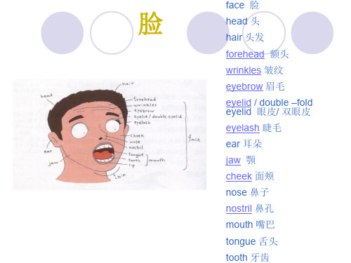 英语专业需要记的 常用单词