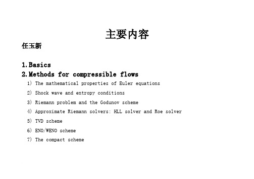 清华大学任玉新---高等计算流体力学