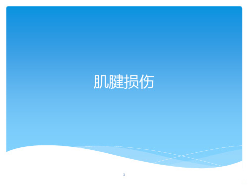 肌腱损伤PPT课件