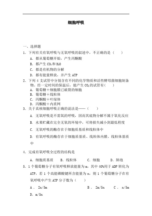 最新高中生物-高一生物细胞呼吸同步练习题26 精品