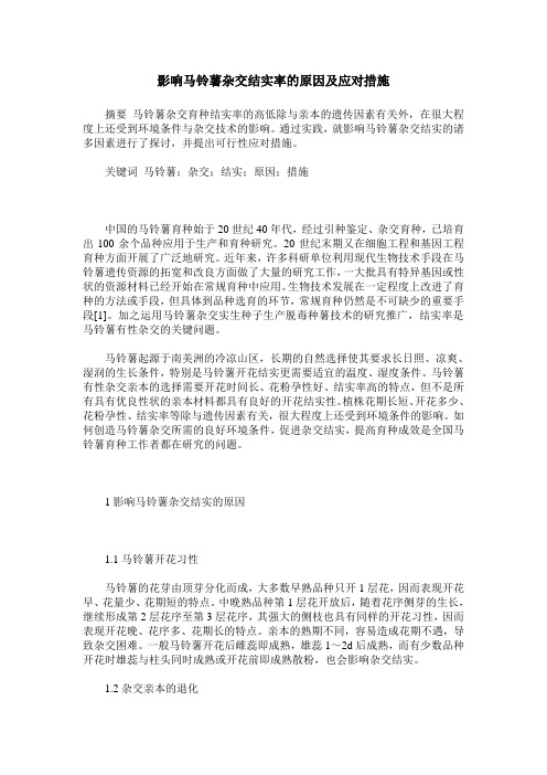 影响马铃薯杂交结实率的原因及应对措施