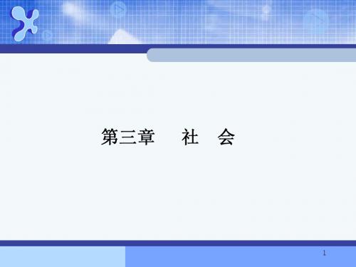 3社会学概论(第三章)