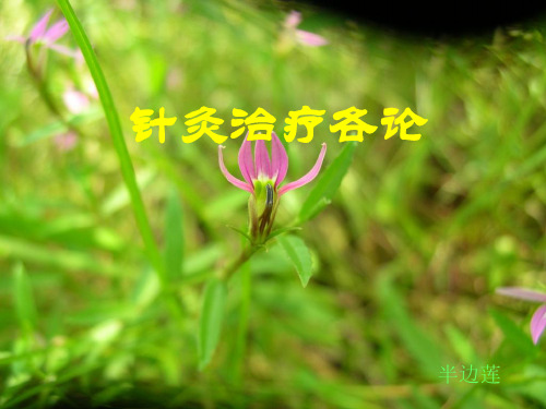 针灸治疗各论