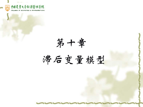 中国农业大学《计量经济学》(10滞后变量模型)(精)