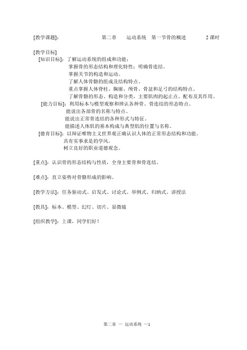 人体解剖教案第二章  运动系统
