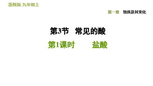九年级上册科学浙教版课件-1.3.1  盐 酸