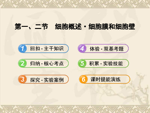 【全程复习方略】(浙江专用)高中生物 2.1、2细胞概述 细胞膜和细胞壁配套课件 浙科版必修1